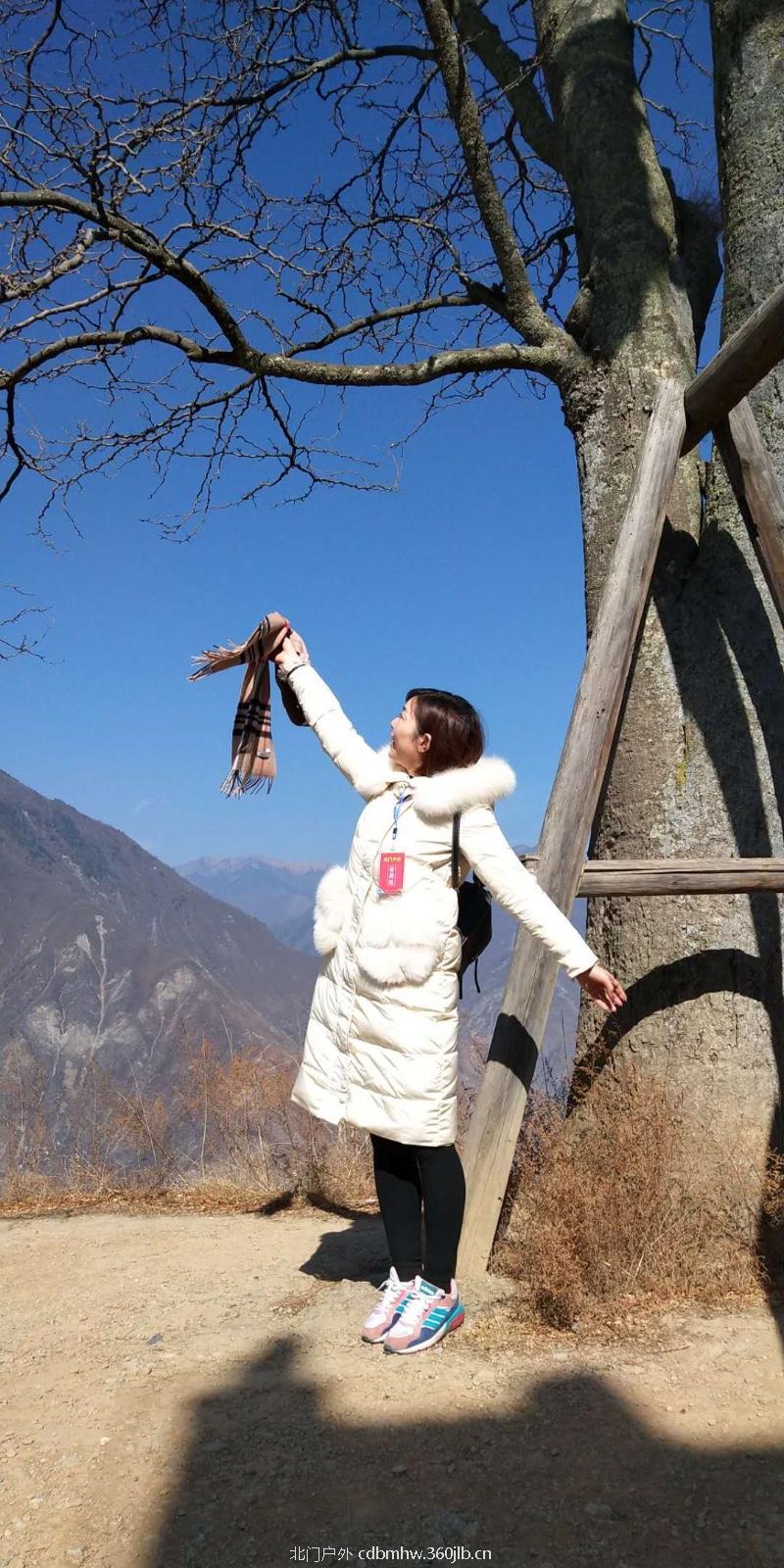 BF0286BE-B03D-47C2-9A20-C4C32F949049