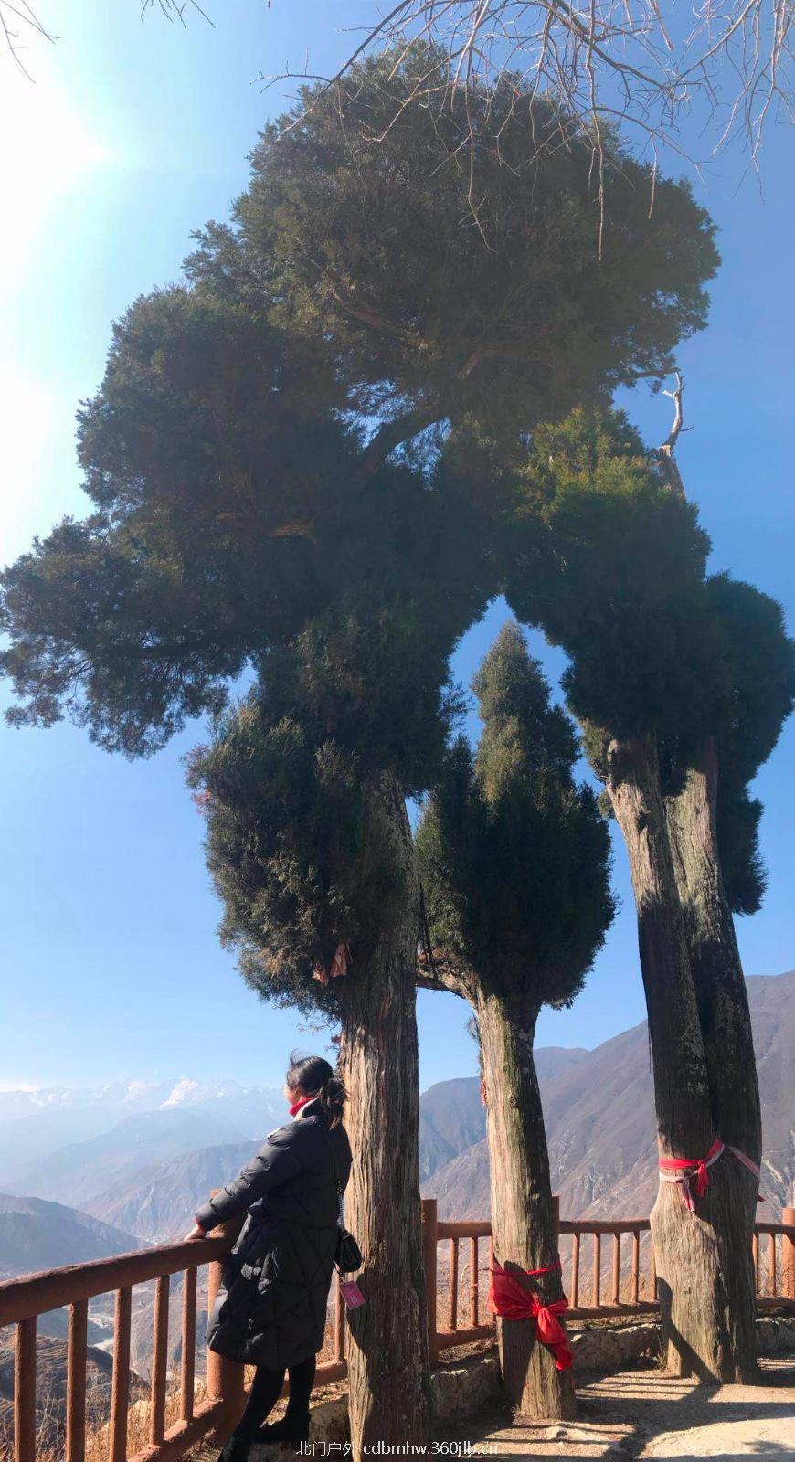 B522A0E2-E280-47EC-B59C-DAA60695BCD3