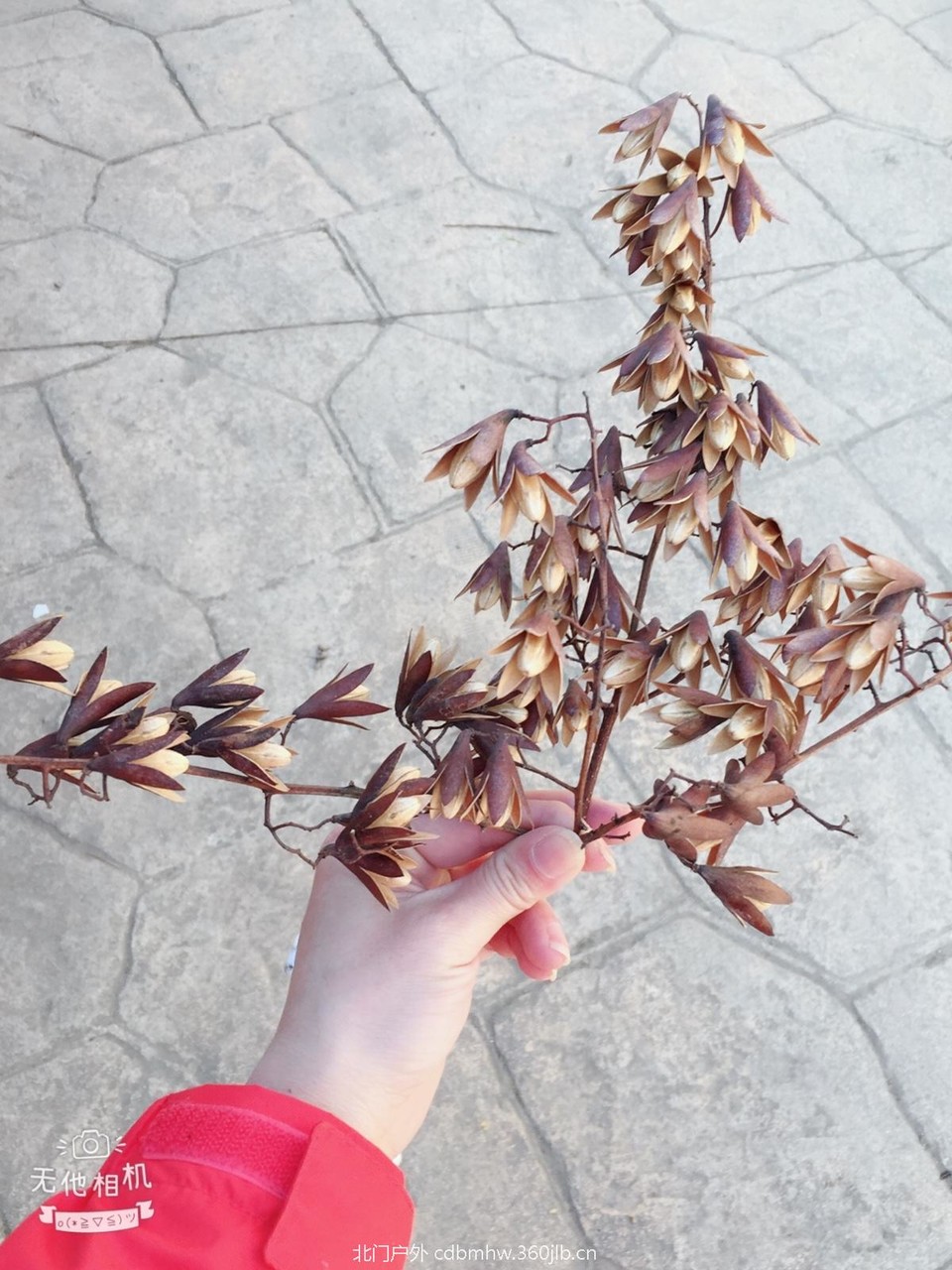 12DD6201-ED7E-4788-A9F6-D2DC844FB23E