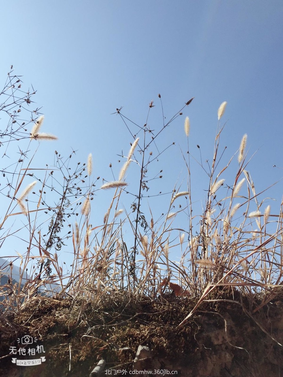 7CB5FDF1-5E25-4DA7-9EF9-B08B020214BA