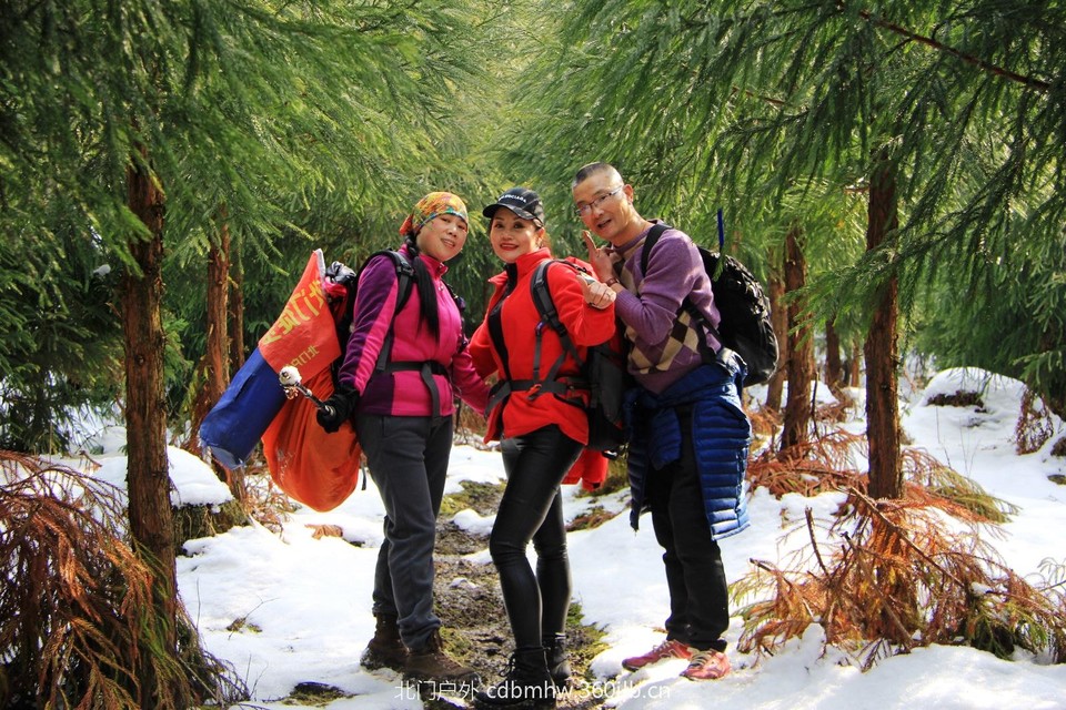 FEBB3667-32AA-46BA-8E60-FBEFC4B7FFC1