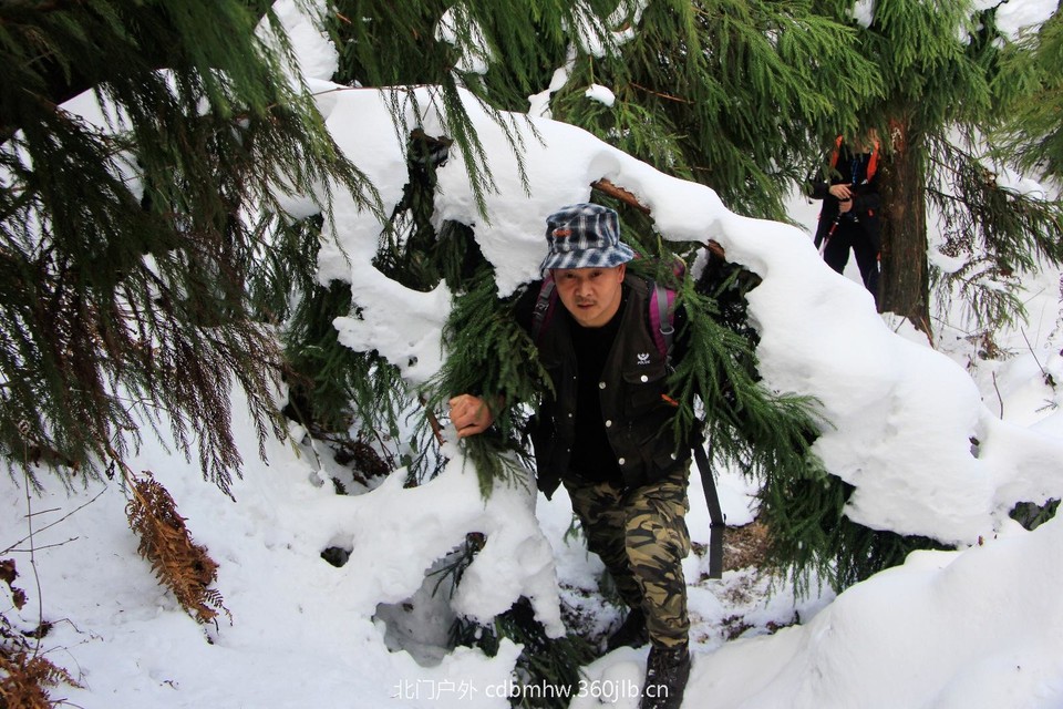 8C13A3B3-42F7-44DD-A4E0-C3D97A7E95AA