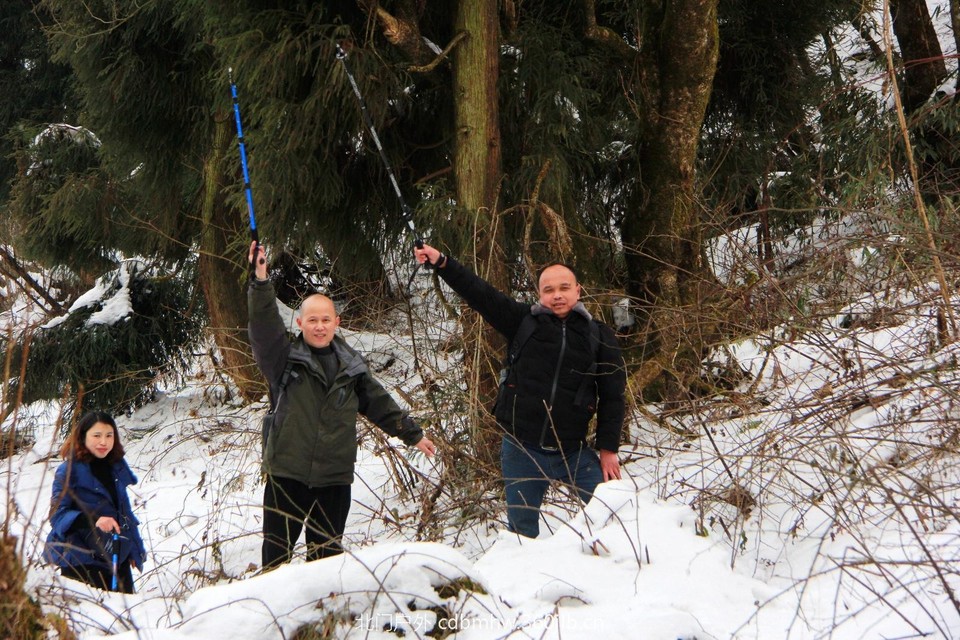 881186DB-F95E-4CF6-8808-DB3DCD4FFF4B