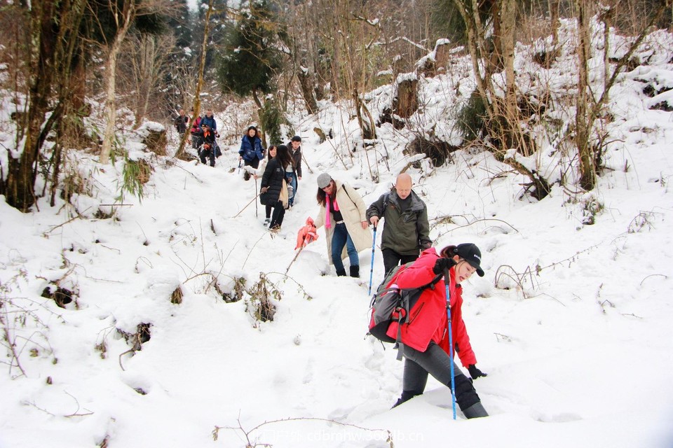 CE015C07-E853-4BE5-AA69-1BD4FF38203B