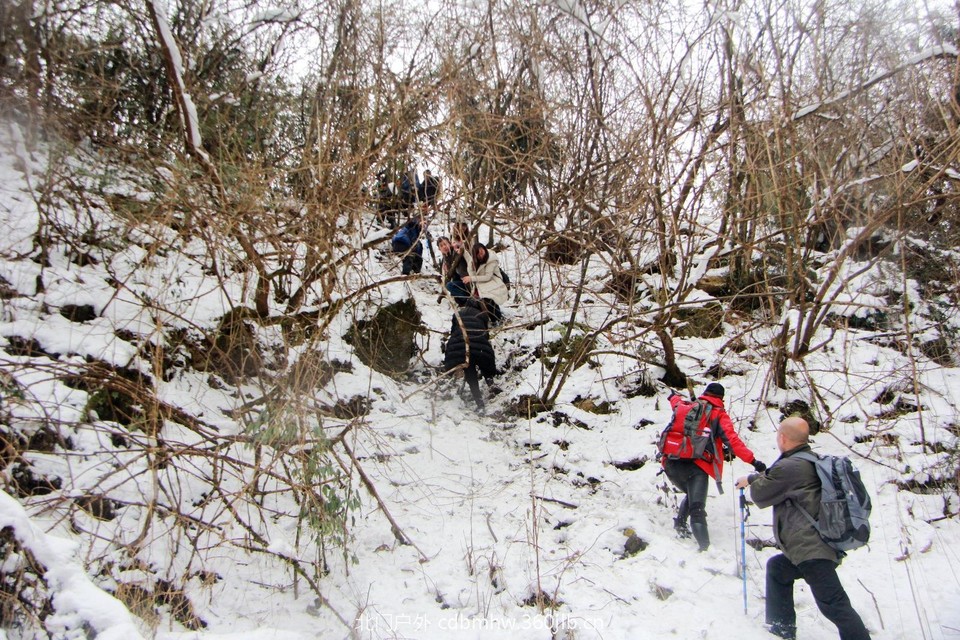 5533043B-CFF4-4142-8379-1C60F6BB8158