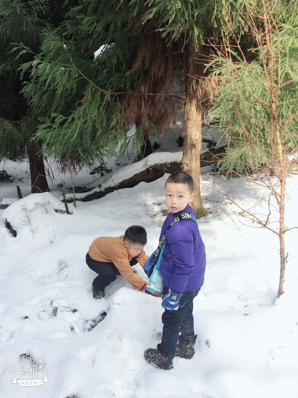 8039487F-C022-4099-B7B4-85296FD579A1