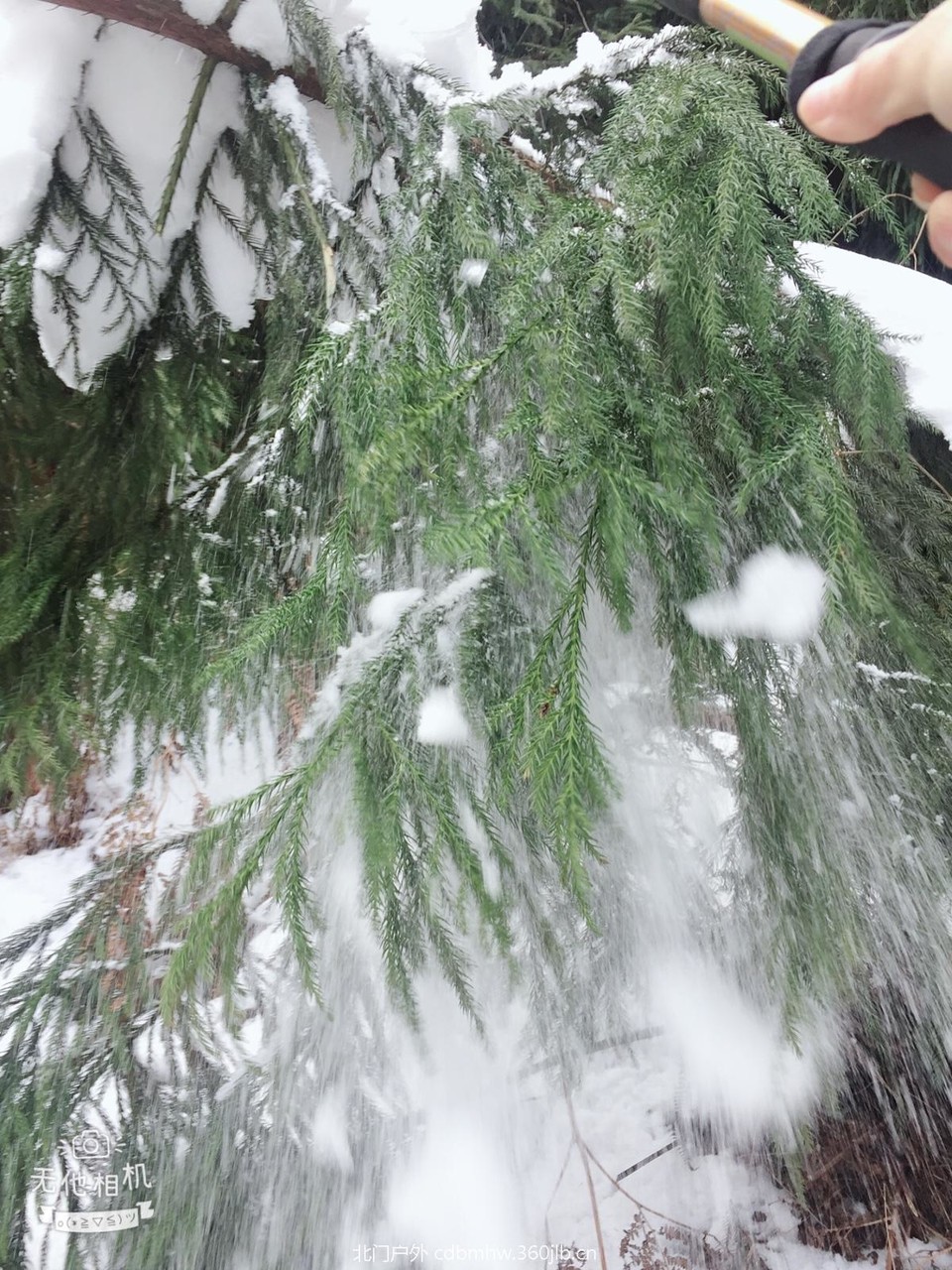 4E4306C8-B661-4B5C-BC95-A14CD6FC388A