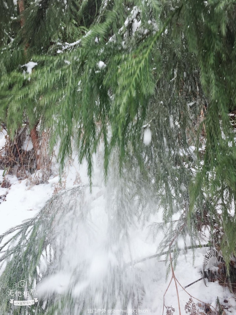 9255F6DF-3E2F-43F8-AADA-A32B21C3A5DF