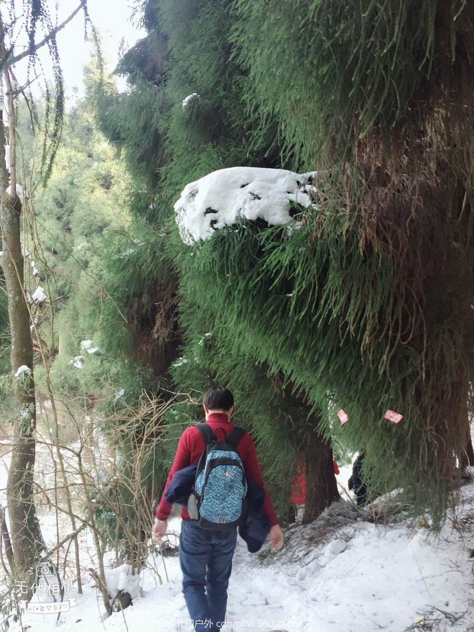 1CADE831-9119-4C0A-97D7-E877CA6CD6FB