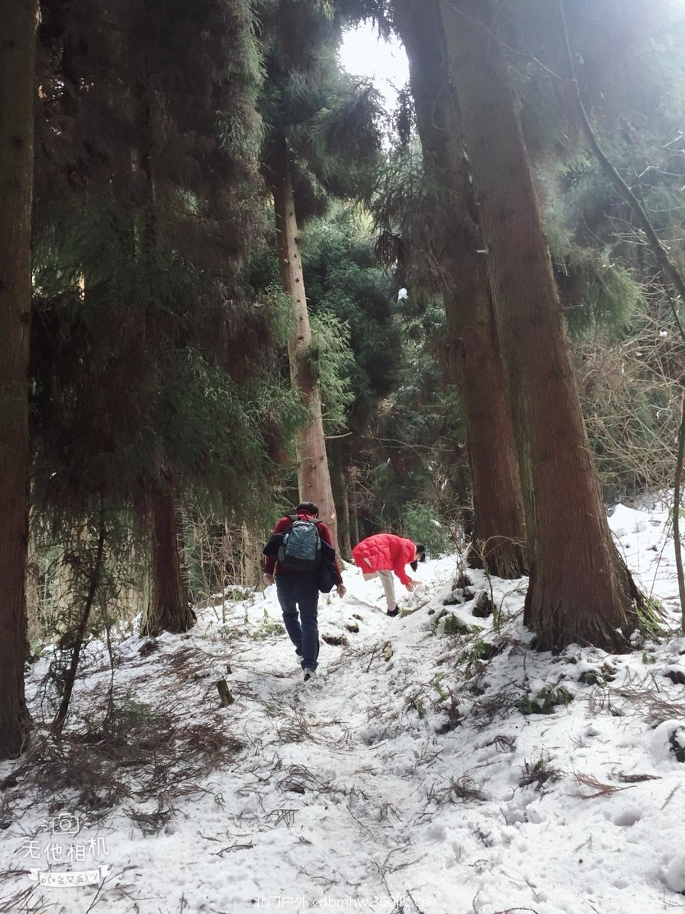 36F1697D-CB0B-485B-A23C-31A087EC4AC8