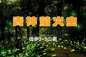 【萤火秘境|治愈之旅】4.4探访佛教古中岩，找寻童年的暗夜精灵找寻童年的午夜精灵“萤火虫”