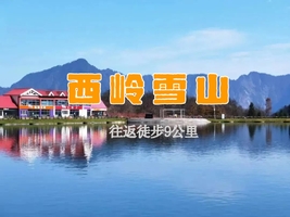 【天府北门户外】4.3免门票！！西岭雪山游步道全线开放，徒步打卡成都后花园，还可采摘鹿耳菲