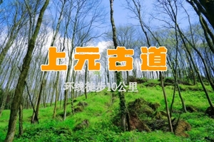 【天府北门户外】4.3徒步上元古道 山野秘境徒步，自然治愈之路，探访藏于彩林下的唐朝古建筑遗迹