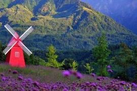 【北门户外】7.28周三相约*熊猫香山*赏紫色花海，耍水蟠龙谷