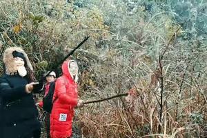 周公山活动视频