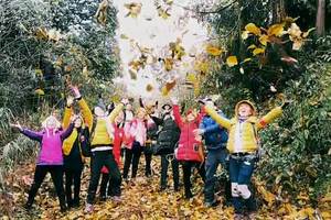 周公山活动视频