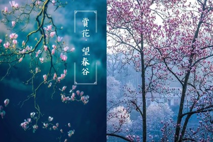 【赏春新线】(特价368)3月8-9日,望春谷赏玉兰花海-寻孔城老街-漫游三河古镇,休闲2日游