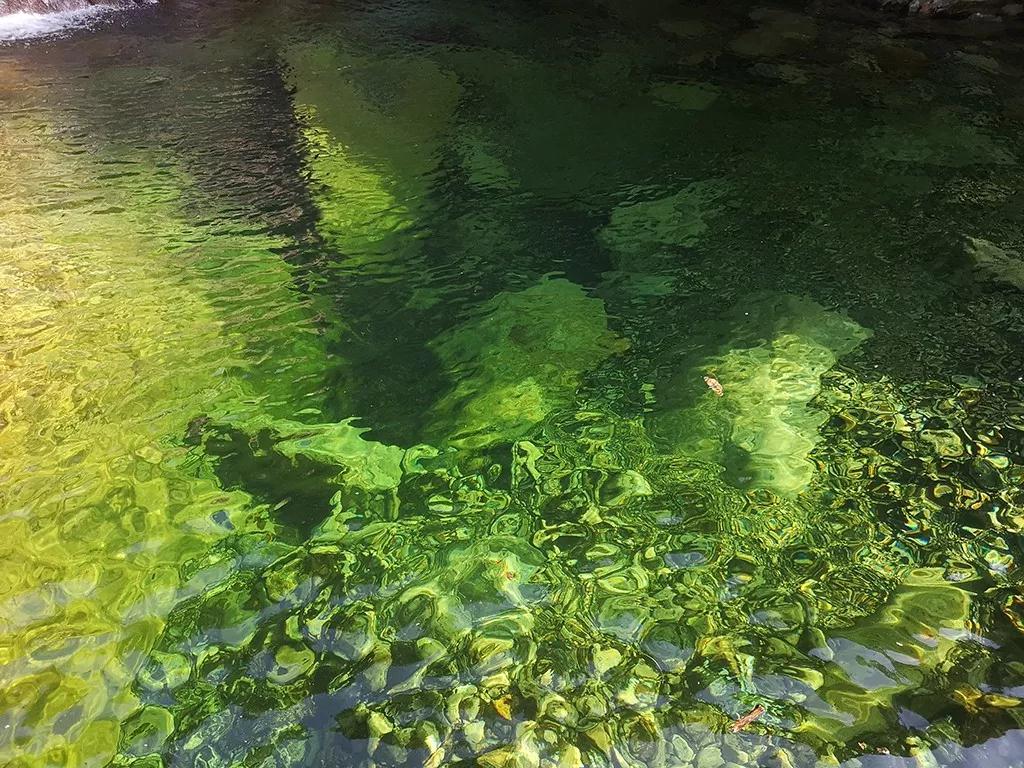 微信图片_20190610214827.jpg