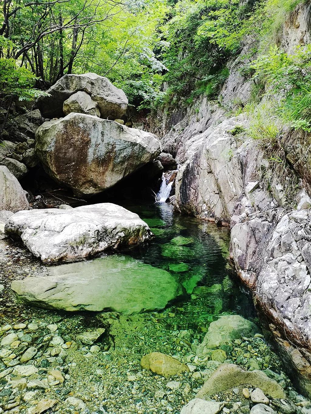 微信图片_20190610214838.jpg