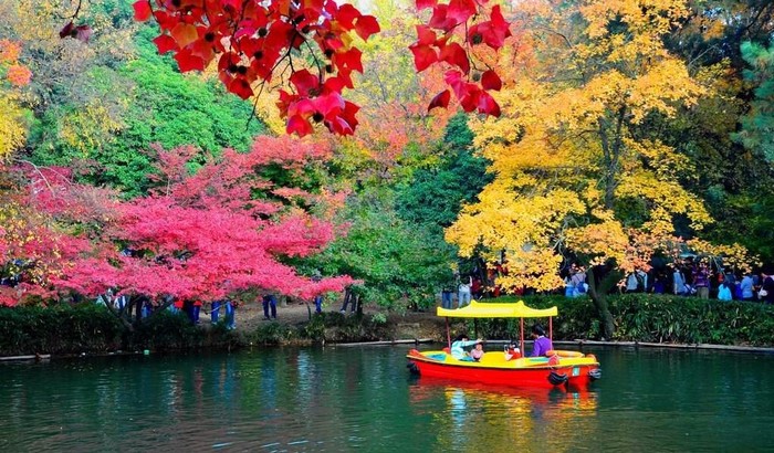 在苏州天平山风景区,您会遇见最美的秋天 天平山的枫叶带有江南水乡