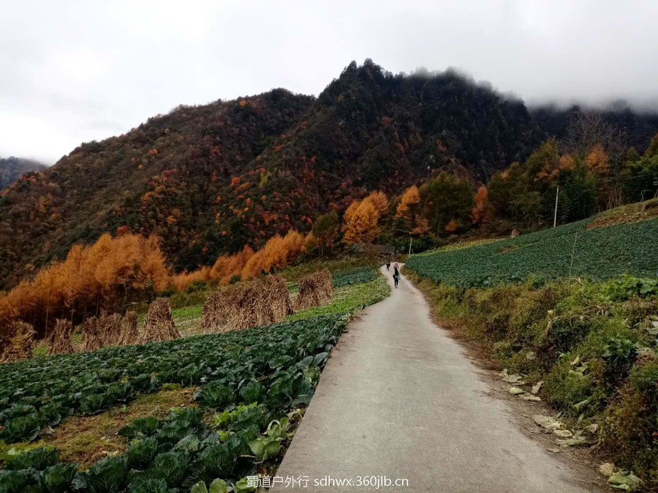 2c8ztpk-l48VYWXOILQmTk2XOjMXT99iJdE8oisaDPrdVAfI656ZjwKsC6xyPxz_