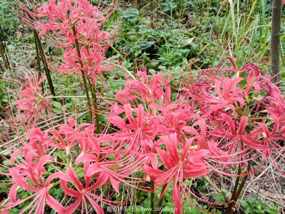 eb_8BdjGL2mSo3c-CN2E4ipuFK6wNiV0EHZbi7Hg4E7tU240bR6yXTkIKk0Fm33t