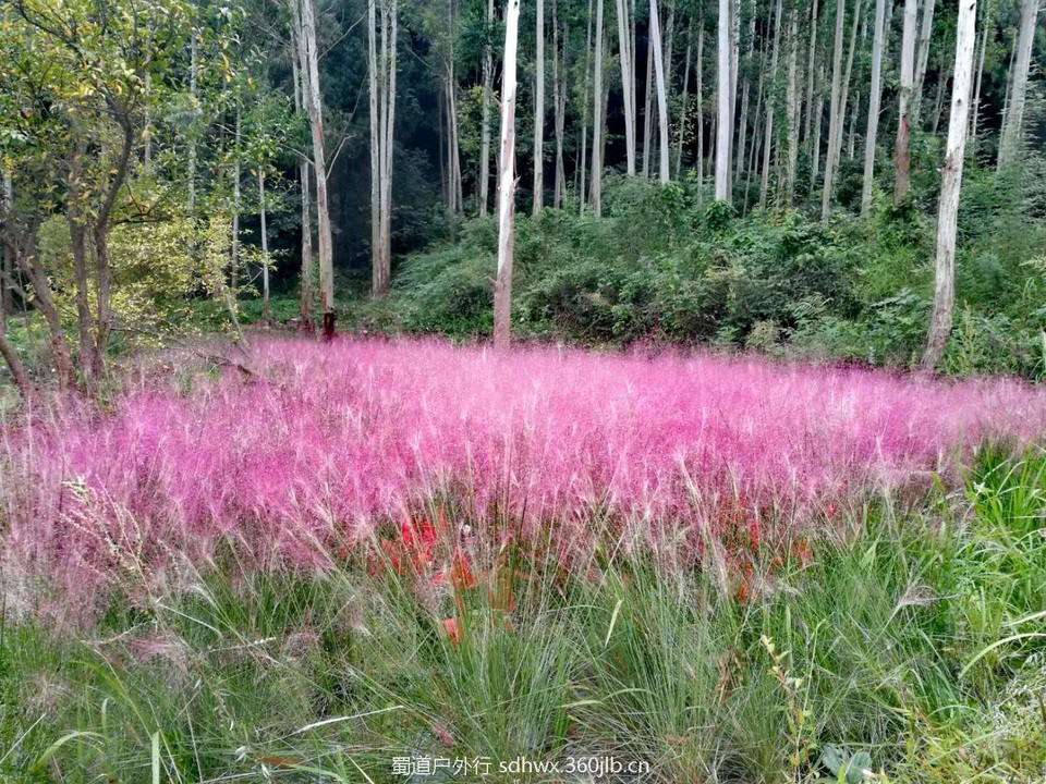 Yq4_IC-VL05pEqRv2WRXw7ErlD3LRNyg8pJLWesf3t96JMrjYcS2qFqTCcrMYwF9