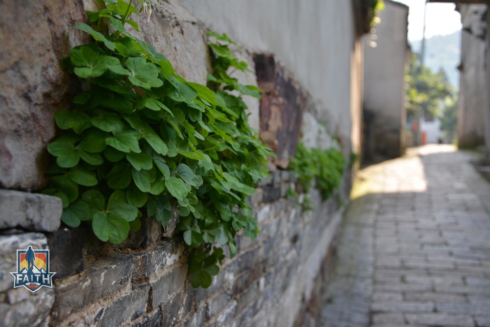 wKgB4lNu2KaAfa-IABwSe3k0VqI68