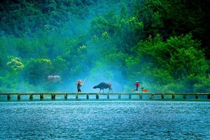 【轻度徒步】6.19-6.21缙云仙都-古堰画乡-松阳古村落巡礼-武义牛头山