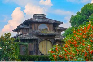 【满陇桂雨】11.8步入满陇桂雨，徒步杭城文艺、清新的森林步道，一路桂花飘香，打卡千与千寻同款汤屋~