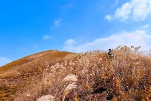 【小武功山】11.8徒步浙中“小武功山”孙家岭古道，探秘高山草甸，登顶雄鹅峰，漫山芦苇，秋日夕阳~