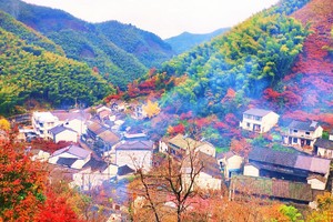 【特价300元】12.6-7行摄四明山茅镬古村，漫步丹山赤水；遇见四明湖水上红杉林，徒步燕窝古道~