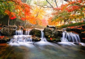 【九溪·秋色】12.7九溪十八涧-白塔公园，徒步茶园十里锒铛，相约杭州小九寨沟