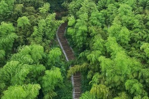 【唐道·独松关】12.20徒步杭宣古道，探访独松关隘；游千年古刹釜托寺，听溪水潺潺、穿竹林秘境；打卡“乡野咖啡馆”