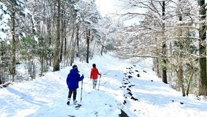 【冬日·蜘蛛岭】12.20 徒步蜘蛛岭古道，登顶奉化第一高峰，徒步踏雪，观雾凇奇观，童话世界