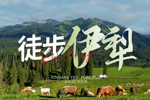 【已成团】绝色新疆·伊犁徒步8日 | 肯斯瓦特水库 赛湖全景+穿越喀拉峻+徒步恰西草原+库尔德宁+琼库什台