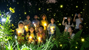【388一大一小】【飞狮亲子】夏日萤火夜探计划！沉浸式森林自然科考活动
