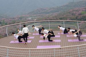 （户外徒步-瑜伽团建）四明山樱花林一日户外徒步团建，樱花遍野、瑜伽舒心