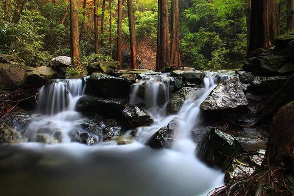 【世纪-中山-上体】7.31徒步溯溪-法喜寺-狮峰山-十里琅珰-九溪溯溪而下