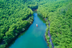 (两日团建定制)竹海夏日漂流，翻越南山竹海，感受夏日清凉