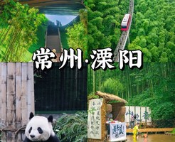 【世-上-松】6.19-6.20徒步南山竹海秘境，踏林间幽径；环天目湖网红公路骑行追风，沉浸式邂逅湖山美景