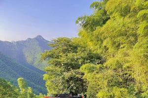 (两日团建定制)走进南山竹海，享受娴静时光~