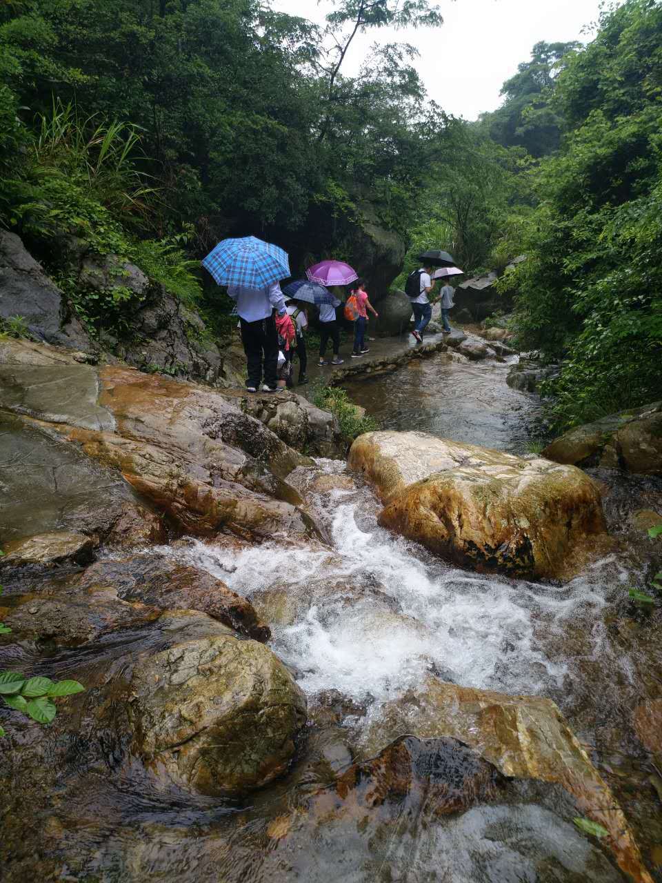 微信图片_20170522121229