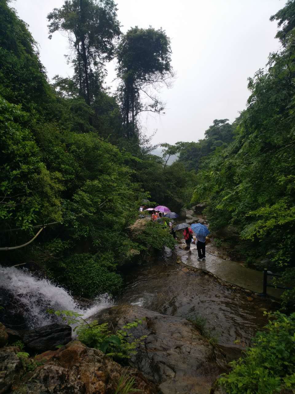 微信图片_20170522121241