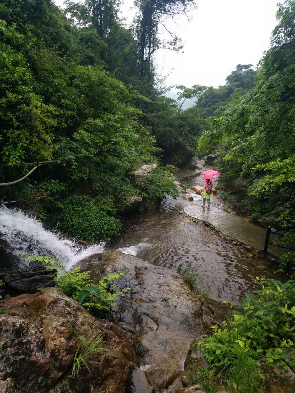 微信图片_20170522121255