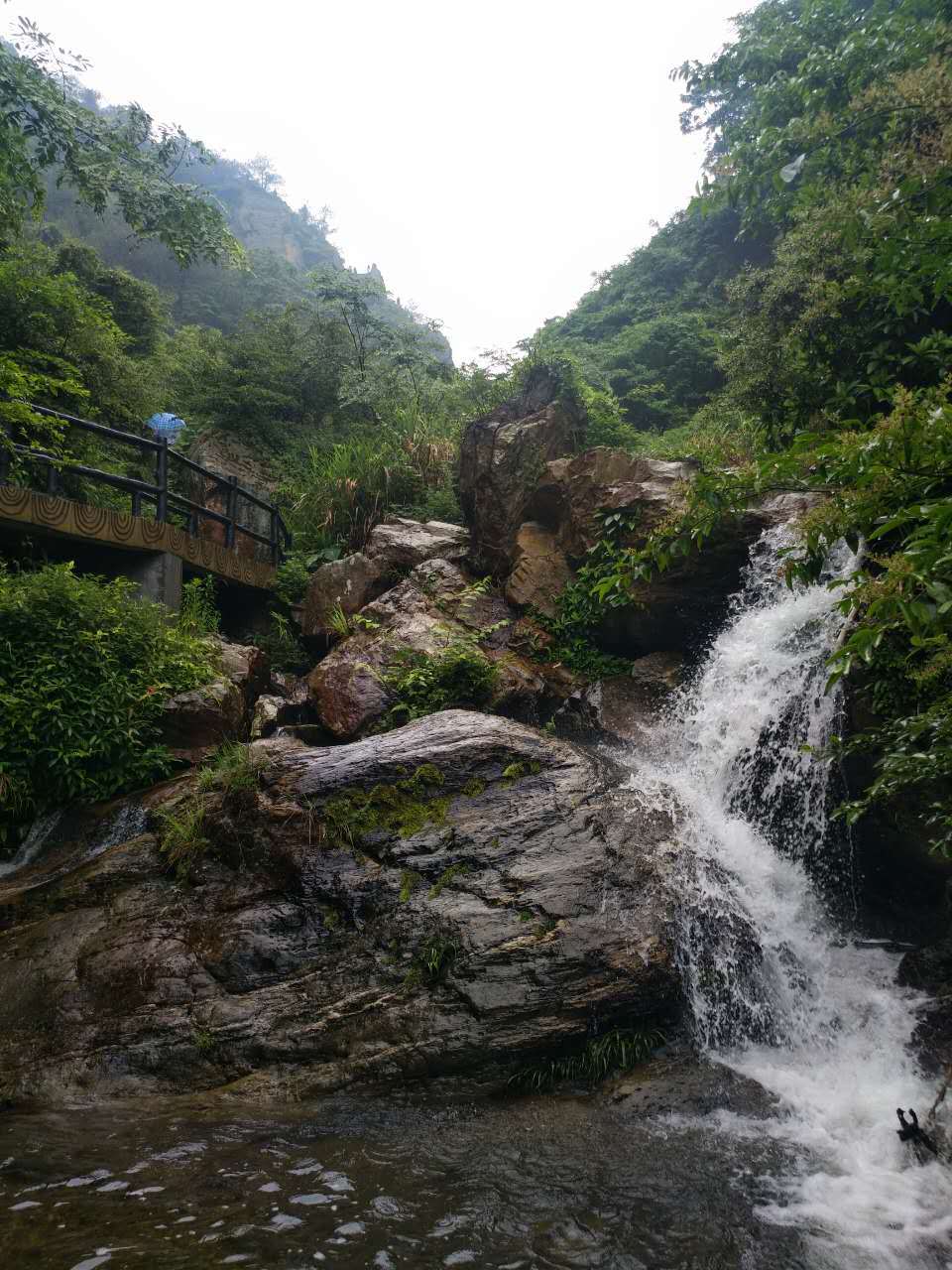 微信图片_20170522121523