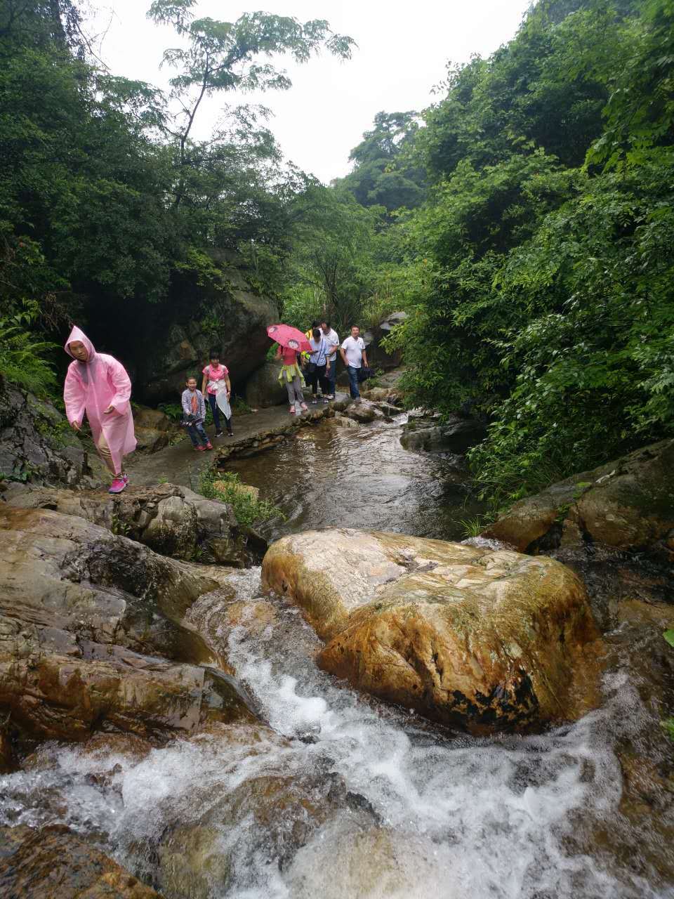 微信图片_20170522121531