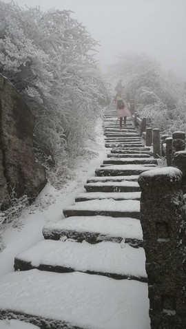 微信图片_20180203160138