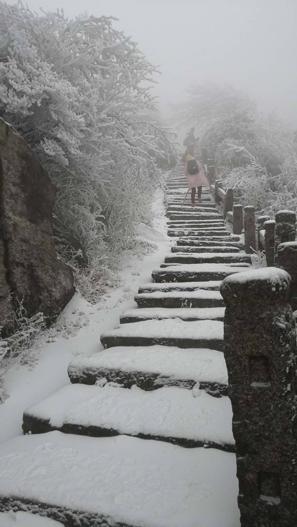 微信图片_20180203160138