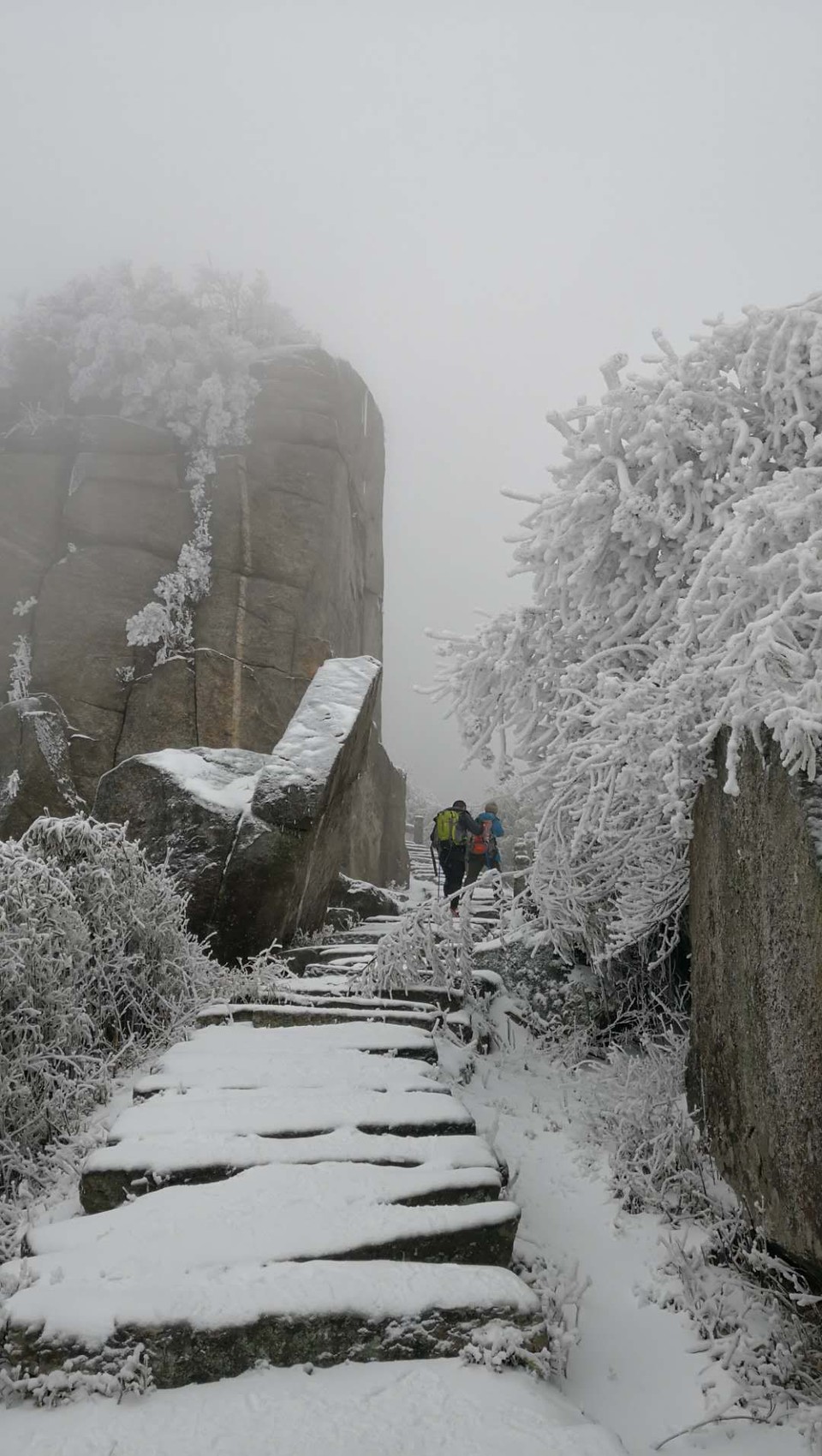 微信图片_20180203160202
